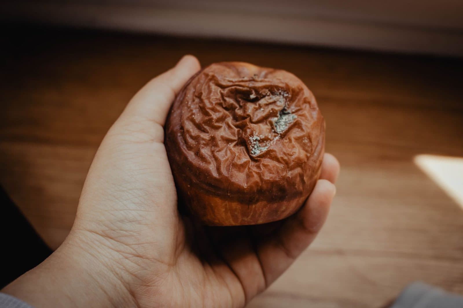 Close-up of a hand holding a moldy, rotten apple against a wooden surface, capturing decay.