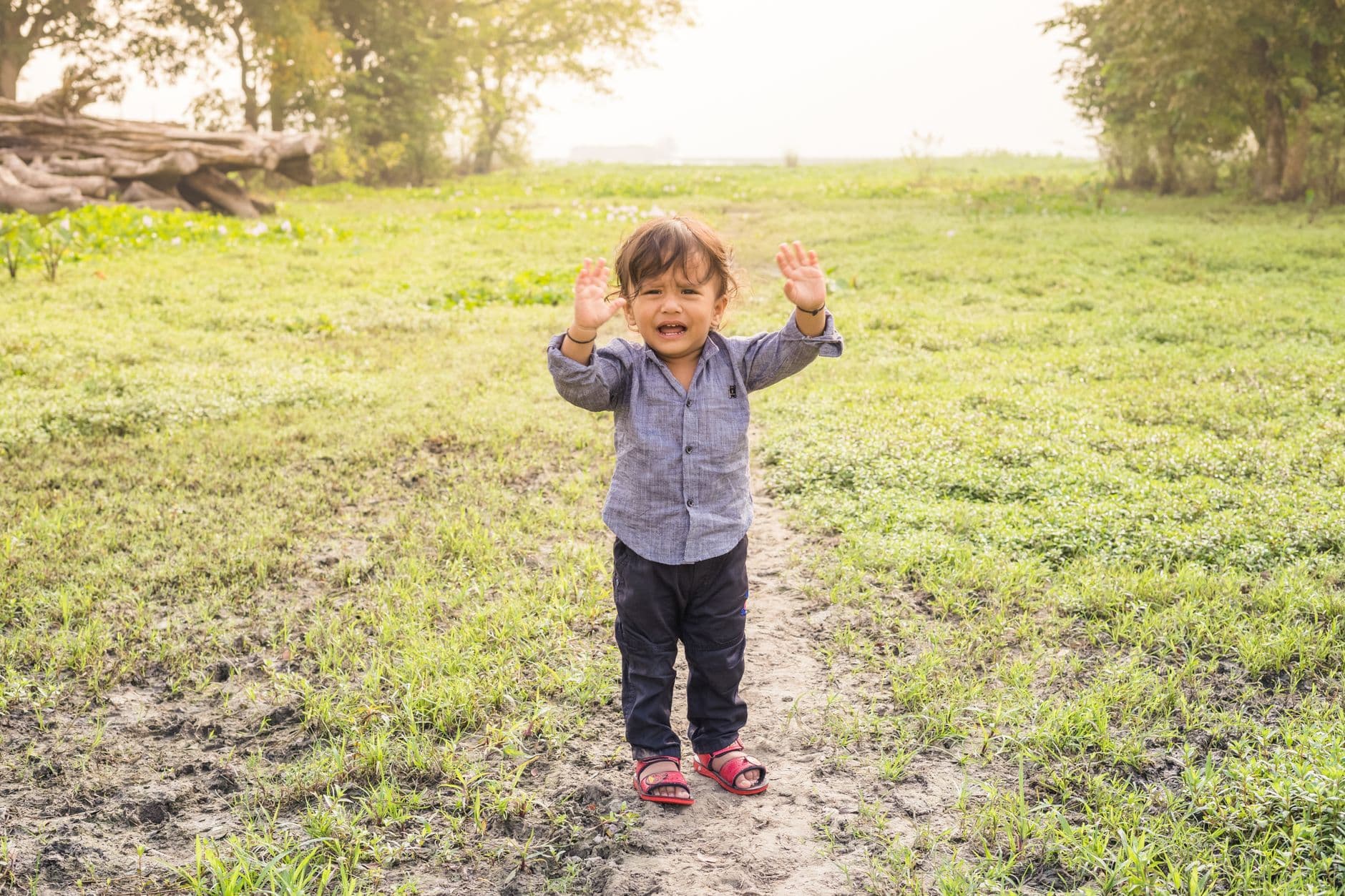 A young child cries in a grassy outdoor field on a sunny day.
