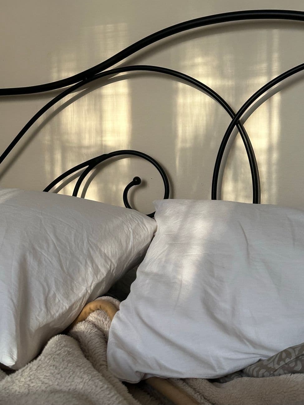 Cozy iron bed frame with white pillows bathed in soft sunlight, creating a serene atmosphere.
