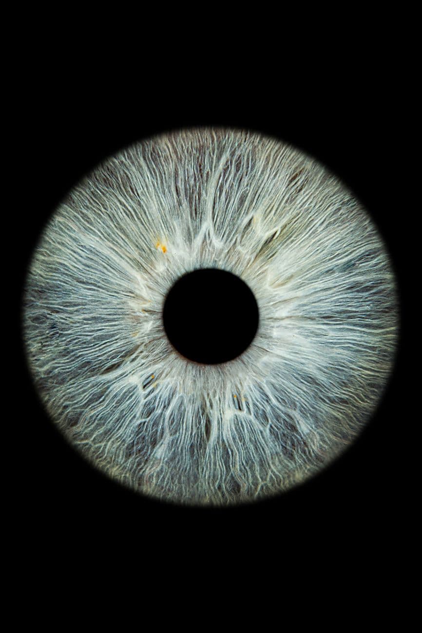 Detailed close-up of a human iris on a black background, showcasing intricate patterns.