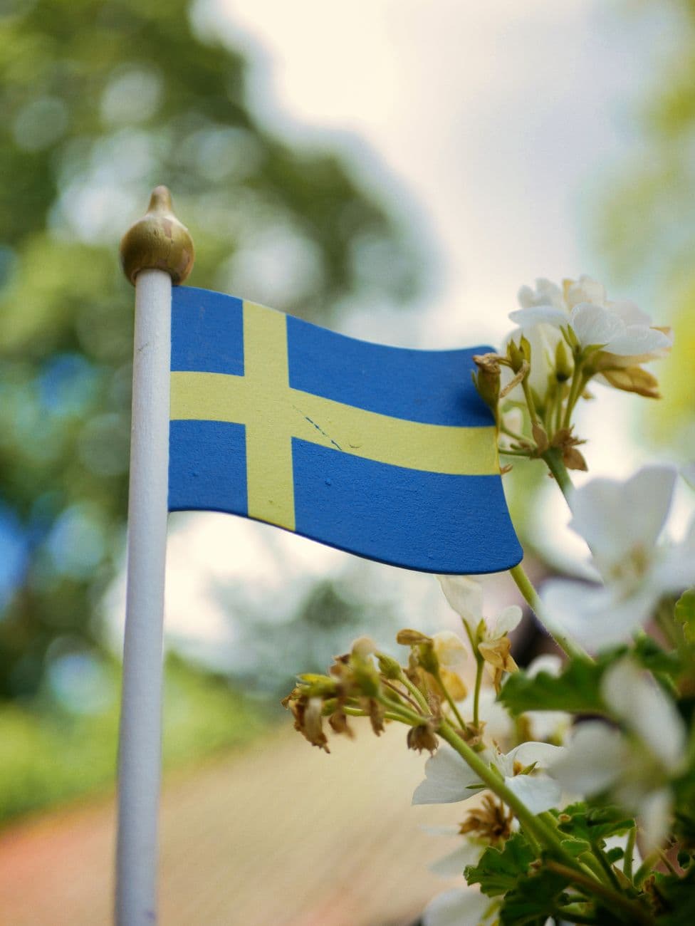 A Swedish flag beside white flowers outdoors in Sigtuna, Sweden.