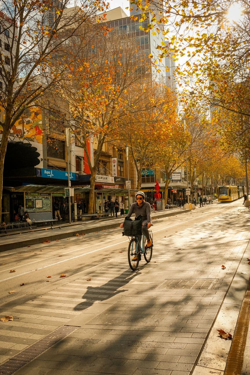 A lone cyclist rides through an autumnal street lined with trees in Melbourne, Australia.