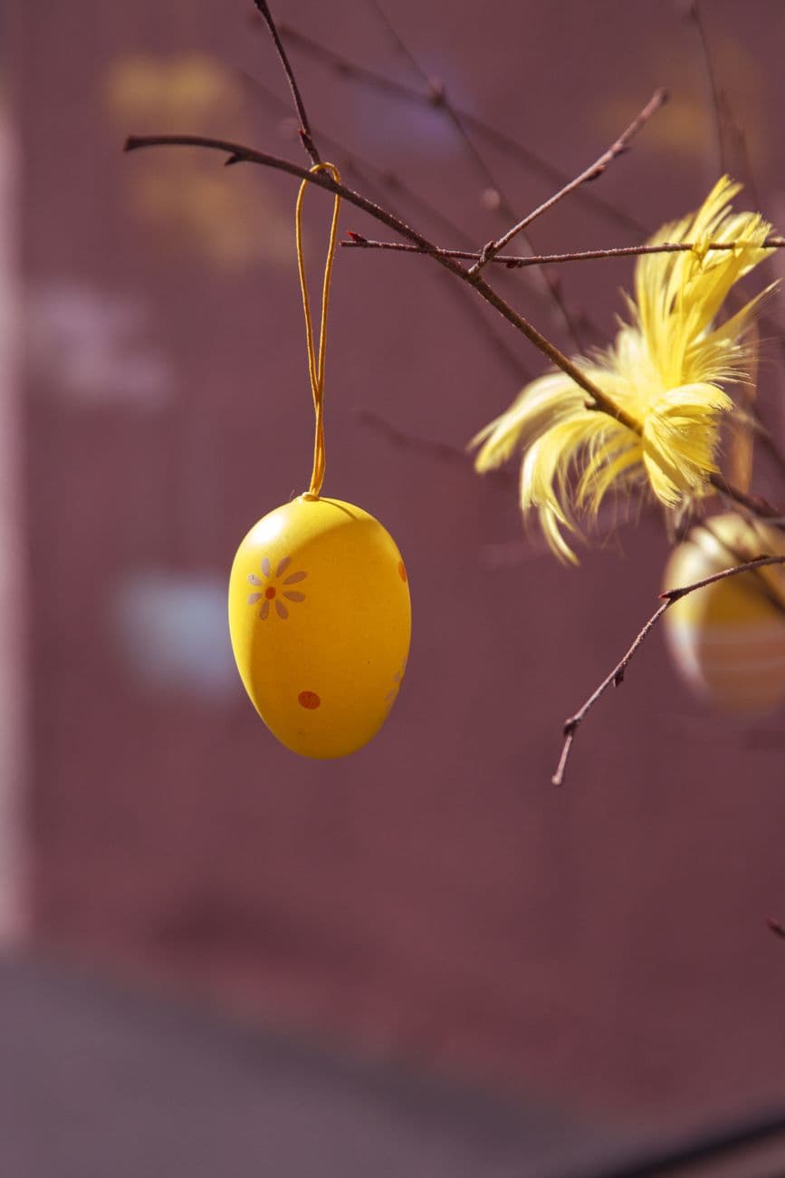 Yellow Easter egg with floral design hanging on a branch, outdoors in sunlight.