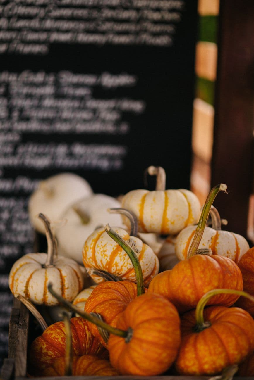 A close-up shot of colorful pumpkins on display at a rustic market during fall.