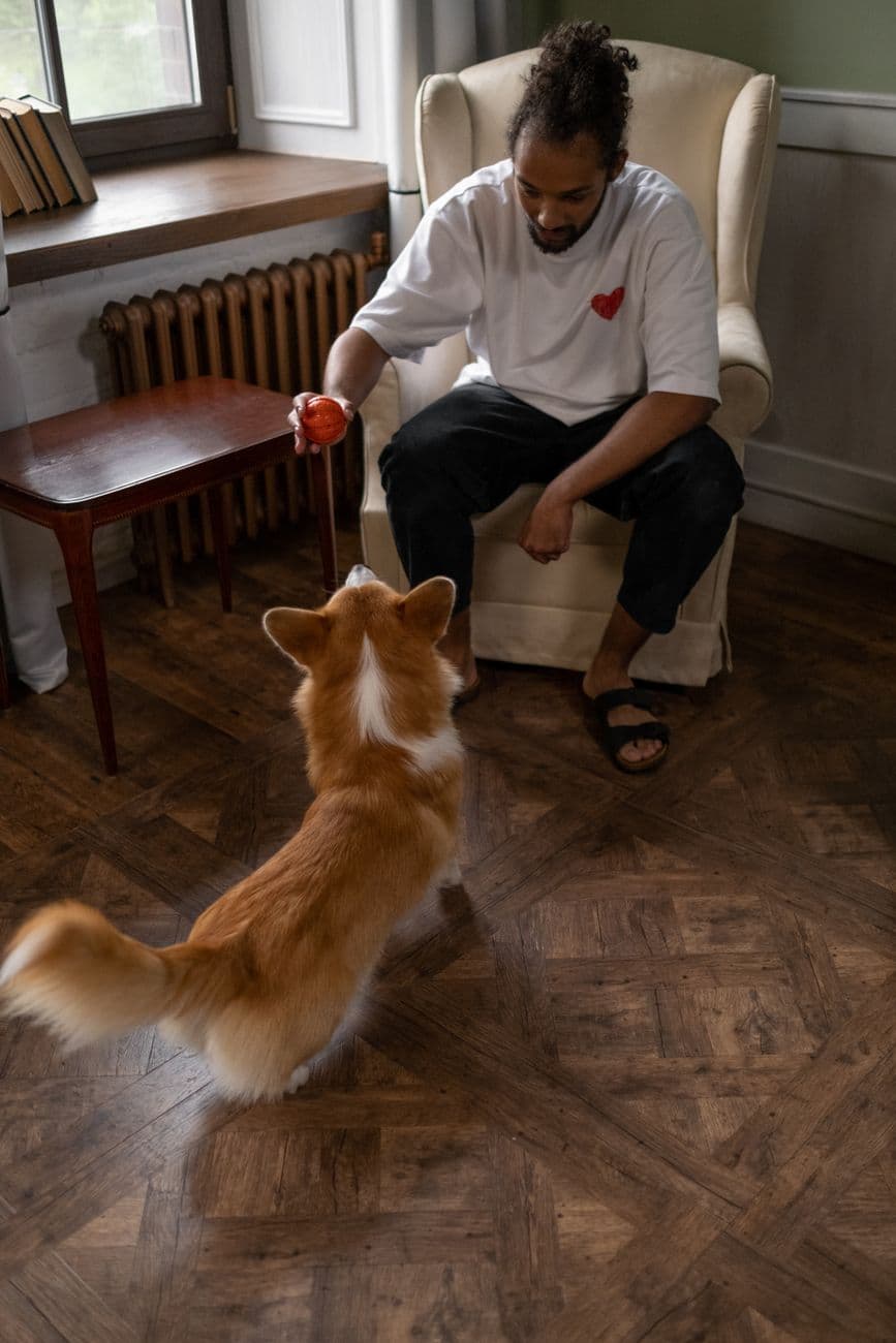 A man engages his dog with a red ball in a cozy indoor setting, showcasing warmth and companionship.