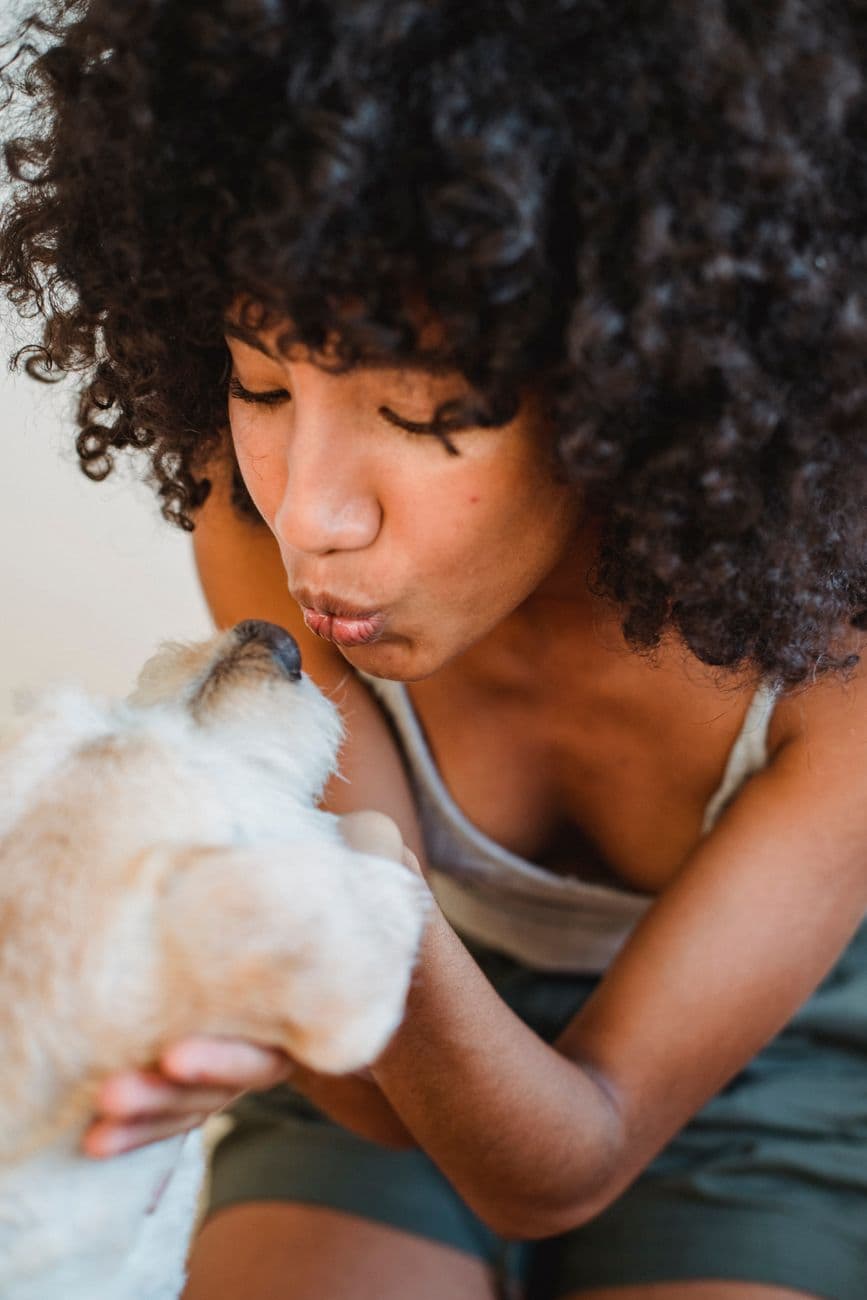 Charming African American female with curly hair caressing and kissing adorable puppy at home