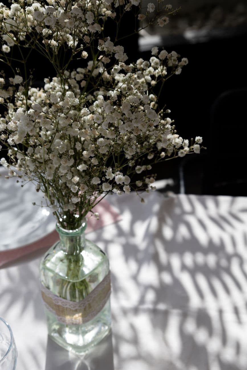 Vase of baby's breath casting delicate shadows on a sunlit table.