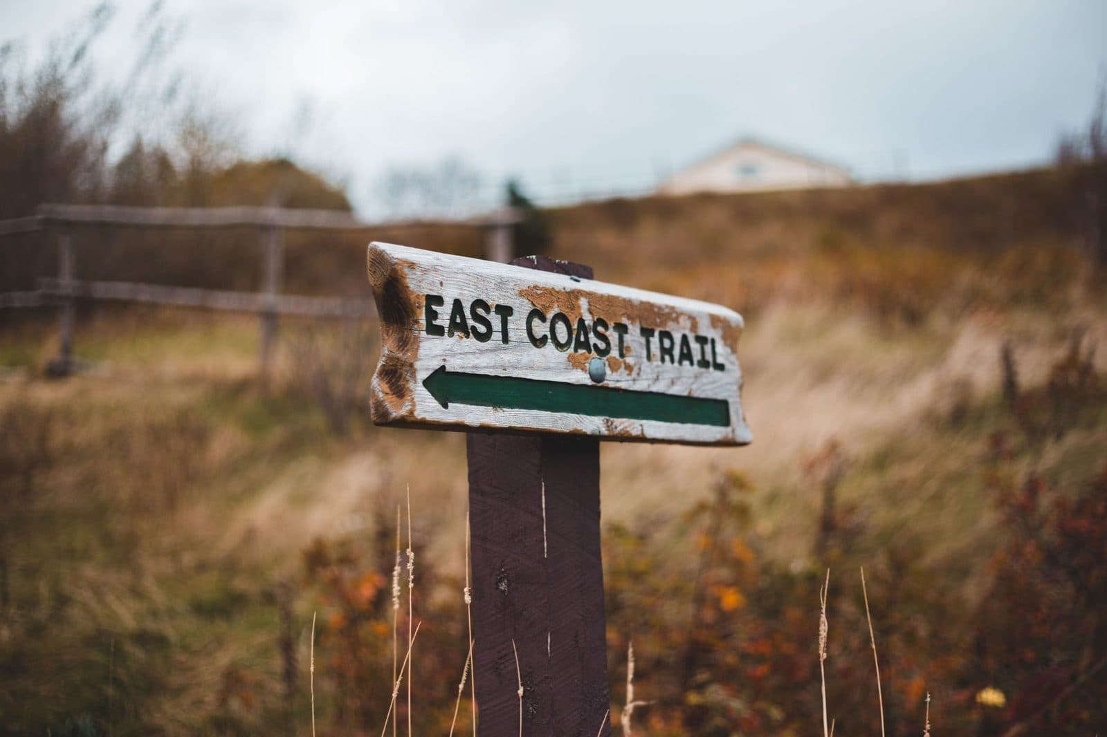 Old wooden direction post with East Coast Trail title on grass hill in daytime