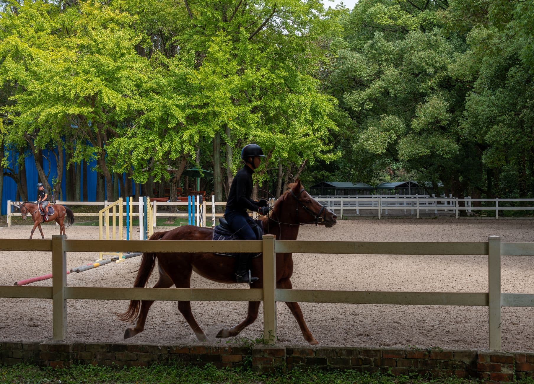Rider on horseback in a fenced paddock surrounded by trees during the day.