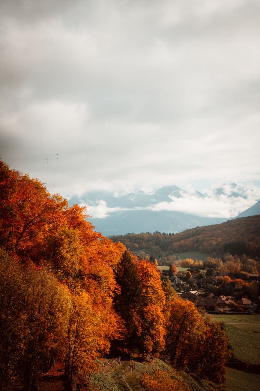 A breathtaking view of autumn foliage in the French countryside with distant mountains.