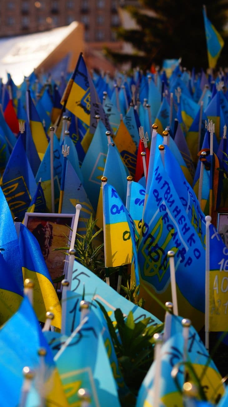 A colorful outdoor display of numerous Ukrainian flags symbolizing national pride.