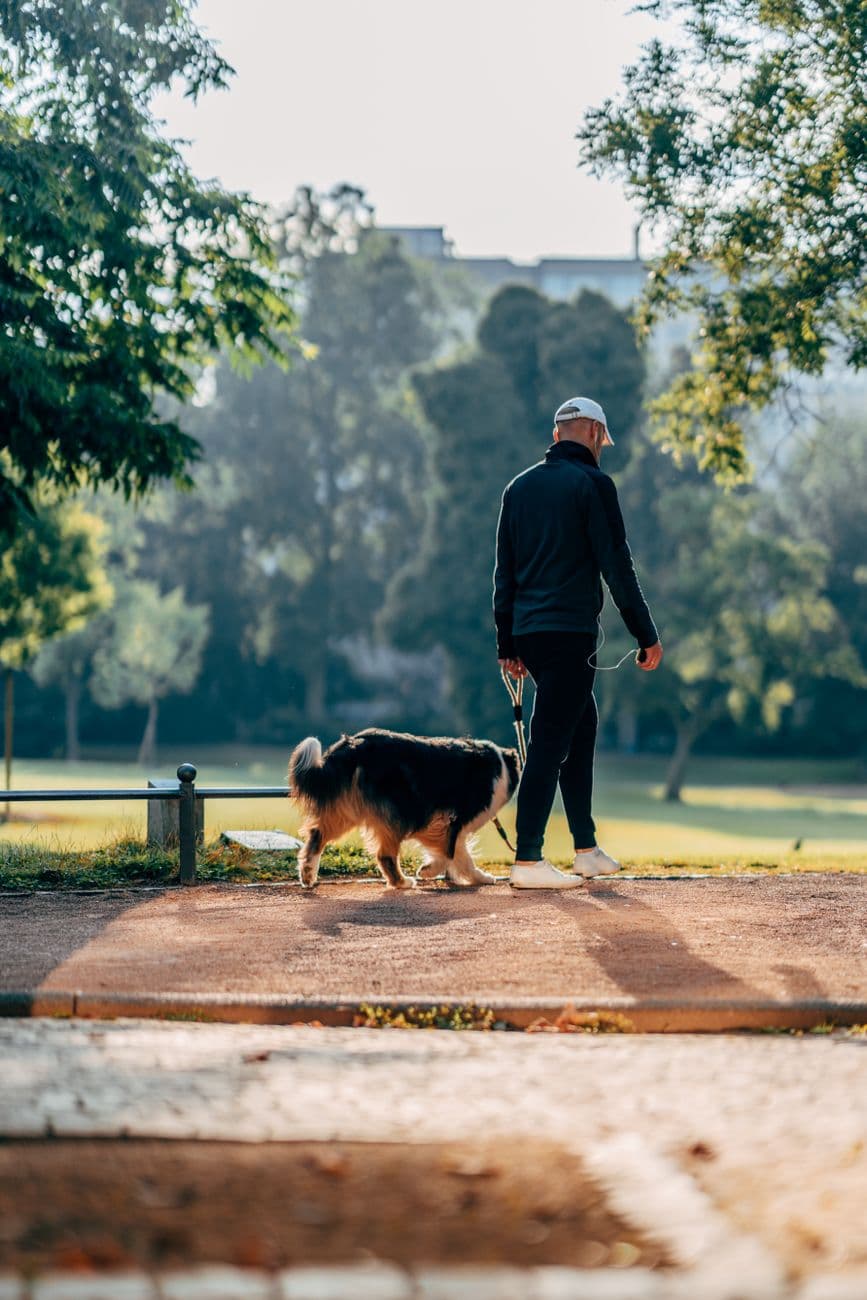 A man wearing a black outfit walks his dog on a sunny park path, surrounded by lush greenery.