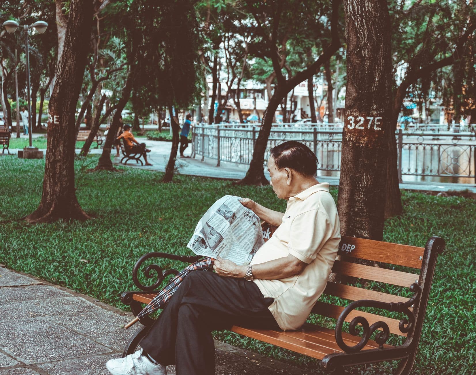 Senior man reading a newspaper while sitting on a bench in a serene urban park.